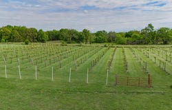 8400 E 1320 Road, Stockton, MO 65785