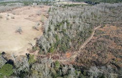 TBD-B County Road 4021, Timpson, TX 75975