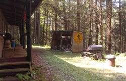 Nelson Run Road, Austin, PA 16720
