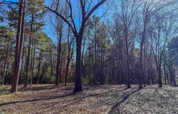 Old Blackman Ferry Rd, Texarkana, AR 71854