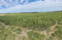 281St 300 Ave, Winner, SD 57580
