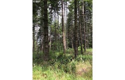 Cater E Rd, Warren, OR 97053