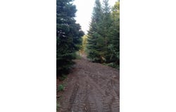 Cedar Valley Drive, Hersey, ME 04747