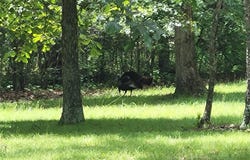Clinton Place, Monroe City, MO 63456