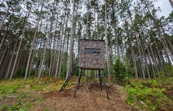 Peterson Road, Bruce, WI 54819