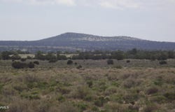 2701 E Leslie Way, Williams, AZ 86046