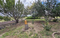 20 Zuni, Concho, AZ 85924
