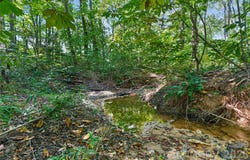 Narrow Bridge Road, Chester, SC 29706