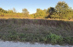 Birch Road, Joplin, MO 64804