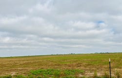 Mongoose Road, Levelland, TX 79336