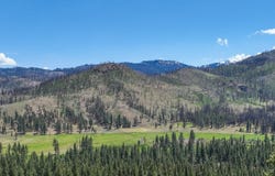 Silver Peak Rd, Markleeville, CA 96120