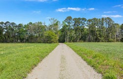 6.5 Acres Christine Pl., Hemingway, SC 29554