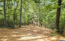 WESLEY CHAPEL RD, FREE UNION, VA 22940