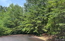 Fire Tower Road, Bostic, NC 28018