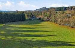 38961 PLACE Rd, FallCreek, OR 97438