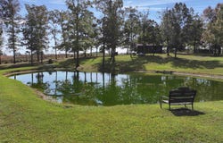 125 CLINTON Loop, Donaldson, AR 71941