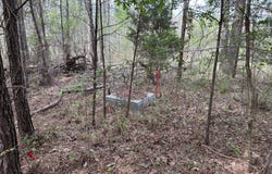 RON THAMES Rd, Arley, AL 35541