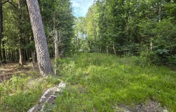 100 Block CR 853, Evadale, TX 77612