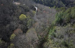 Conley Mountain Association Rd., Whittier, NC 28713