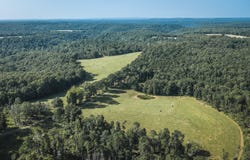 Tract 2 Private Drive, Norwood, MO 65717
