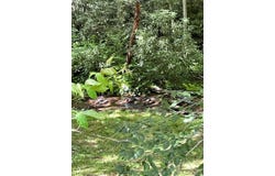 686 Mashstomp Road, Maggie Valley, NC 28751
