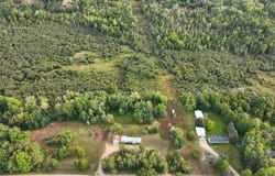 6890 E 46 ROAD, CADILLAC, MI 49601