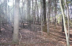 468 Sylvan Road, Thurmond, NC 28683