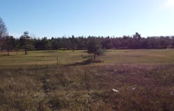 N Webb Rd, Hessel, MI 49745