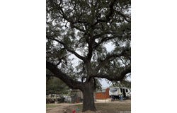 42 E KING PHILLIPS AVE, Poteet, TX 78065