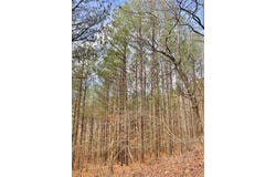 777 Timber Creek Trails S XI, Broken Bow, OK 74728