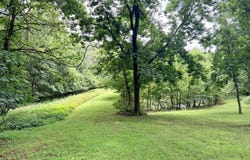 34 E Dade 86, Greenfield, MO 65661