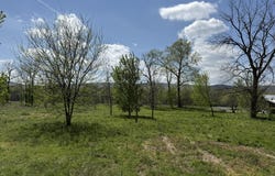 Kate Lane, Batesville, AR 72501