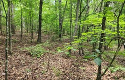 b020 Lakeview Trail, HOLLADAY, TN 38341