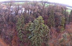 Main, Saint Thomas, ND 58276