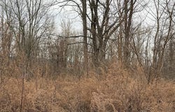 16 Knights Lane, Warwick, NY 10990