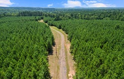 861 Spellings Road, Marshall, TX 75670