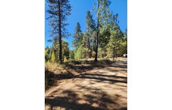 E River Drive, Featherville, ID 83647
