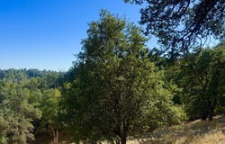 Hill Street, Anderson, CA 96007
