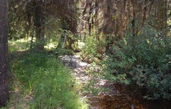 14074 B Morell Road, McCall, ID 83638