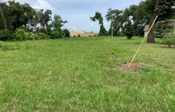 SAND Avenue, APOPKA, FL 32703