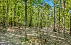 FARM VIEW Lane, ROMNEY, WV 26757