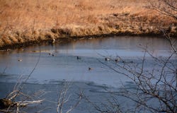 E 74 RD, Lecompton, KS 66050