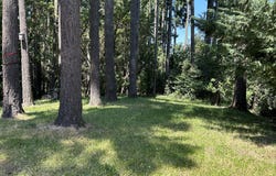 Agate St, Eugene, OR 97405