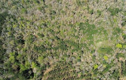 FM 1012, Newton, TX 75966