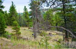 Box Caynon Ln, Cascade, MT 59421