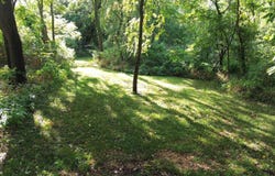 2 Acres Mill Street, Bloomfield, IA 52537
