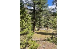 Cedar Dr, Lyons, CO 80540