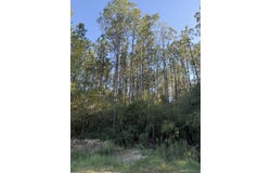 Lucas Rd, Axis, AL 36505
