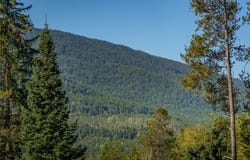 155 Corbett Lane, Coram, MT 59913