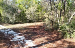 0000 E HWY 25, BELLEVIEW, FL 34420
